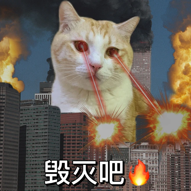 表情包-花瓣网