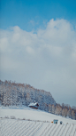 雪原 富良野❄️ | 摄影@overwater ​​​