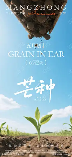 芒种节气海报_源文件下载_AI格式_1080X2340像素-节气,海报,芒种,生机,插秧,耕田,劳作,收获,夏天-作品编号:2025060508564903-志设-zs9.com