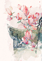 画画的青禾