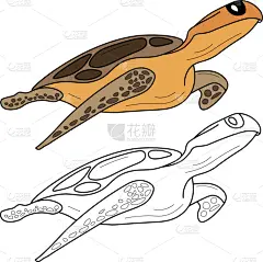 矢量,绘画插图,标志,插画,分离着色,黑白图片,图标,龟,彩色图片,白色背景