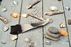 贝壳,木制,石头,枝,翎毛,背景,古典式,禅宗,水平画幅,垒起