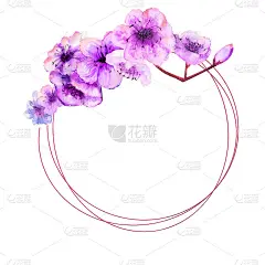 樱花，樱花枝与明亮的丁香花在一个几何框架上，在一个孤立的白色背景。春天的形象。水彩插图