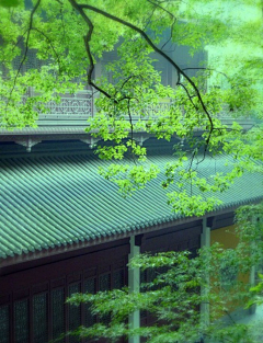 烟雨兰花采集到云水禅心