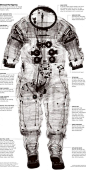 An x-ray of the suit that Alan Shepard wore on the moon during the Apollo 14 mission in 1971.   http://www.iainclaridge.co.uk/blog/wp-content/uploads/2011/10/fashioning_apollo3.jpg