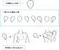 【绘画教程】如何从5个方面学习绘制人体肩膀？（人体教程） : 基础练习不能停！