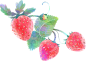 梦幻风格水彩插画贴纸-草莓