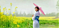 婺源油菜花