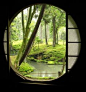 Kyoto Moss Garden through a window