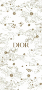 Dior壁纸