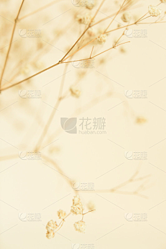 小路同学采集到中式