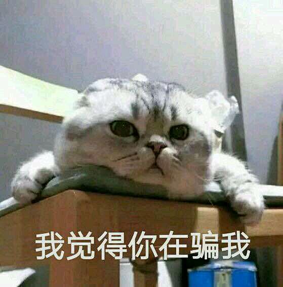 【图片】给大家发一点猫咪的表情包_猫吧_...