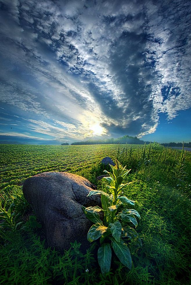 菲尔科赫
by Phil Koch