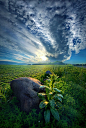 
 by Phil Koch

