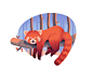 Red panda by Ana Miminoshvili on Dribbble