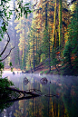 . : : Stunning Nature : : . / Misty Huntington Lake, California | See more Amazing Snapz