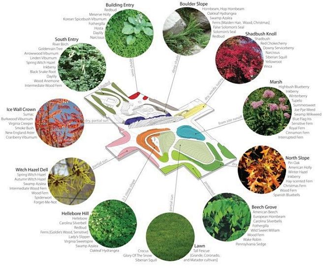 Microclimates and pl...