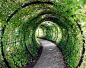 vine tunnel: Steampunk Garden L, Backyard Bridges, Wouldnt, Ivy Tunnel, Garden Bridges, Garden Esque, Awesomeness Geekery, Awesome Stuff