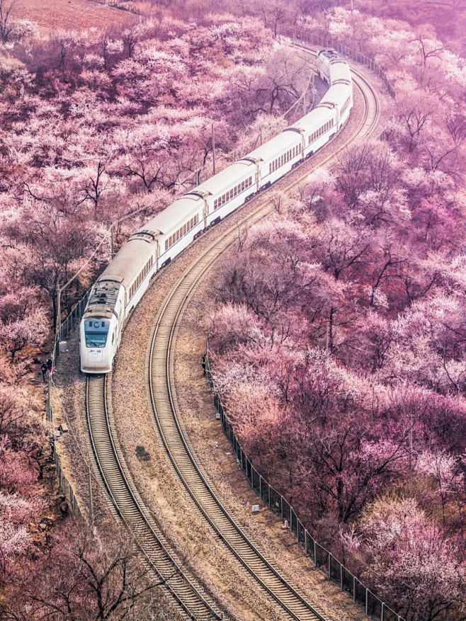 北京市郊铁路S2线开往春天的列车，摄影师...