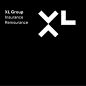 xl masthead XL尺寸的新品牌形象设计 visual identity  保险公司标志 保险公司品牌形象设计 保险公司logo 