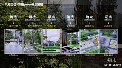 青番茄r采集到待整理