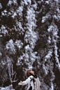 成都的第一场大雪 - 生命最初的模样 - CNU视觉联盟