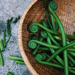 一半一半123采集到美食