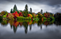 Autumn Colours by Fern Blacker on 500px