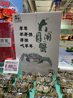 莫须有__采集到字体排版
