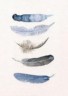 水彩羽毛，biubiu~

作者 Annemette ​
#手帐素材插画手绘##艺界v动态# ​​​​