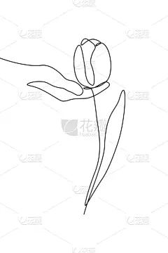 郁金香,花,手,线条,贺卡,清新,一个物体,背景分离,简单,女人