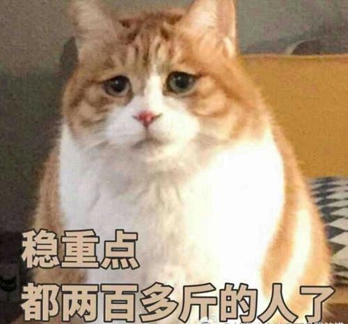 猫咪表情包_百度图片搜索