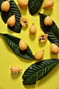 loquat : loquat