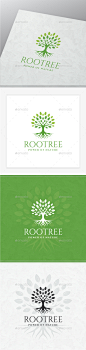 根树的标志——自然标志模板Root Tree Logo - Nature Logo Templates艺术、品牌、品牌、创意、创造力,设计,设计师,环境,树叶,花园,图形,绿色,图标,illustrator,形象,叶子,树叶,标志,媒体,自然,大自然,植物,根,工作室,象征,模板,树,树干,矢量 art, brand, branding, creative, creativity, design, designer, environment, foliage, garden, graphic, green