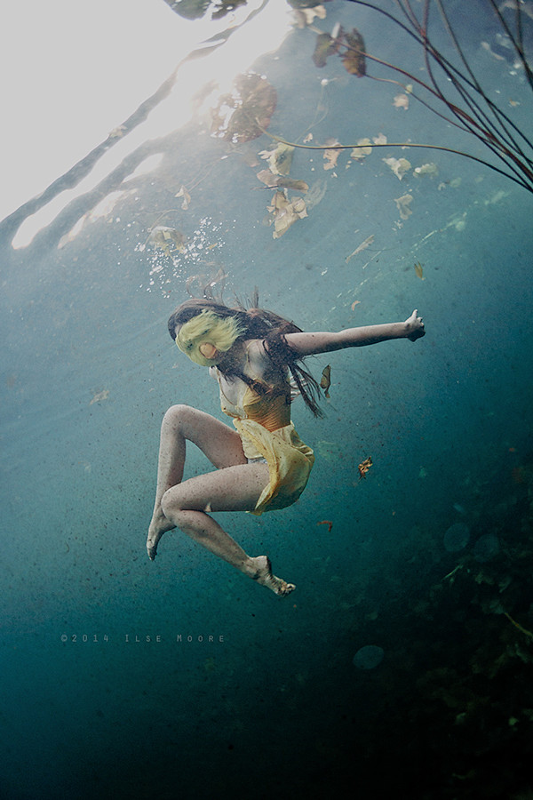 水下摄影：Ilse Moore