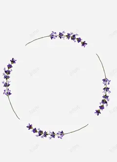 手绘简单薰衣草花卉花环高清素材 页面 设计图片 免费下载 页面网页 平面电商 创意素材 png素材