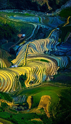 流川枫与佐助采集到一个人的风景