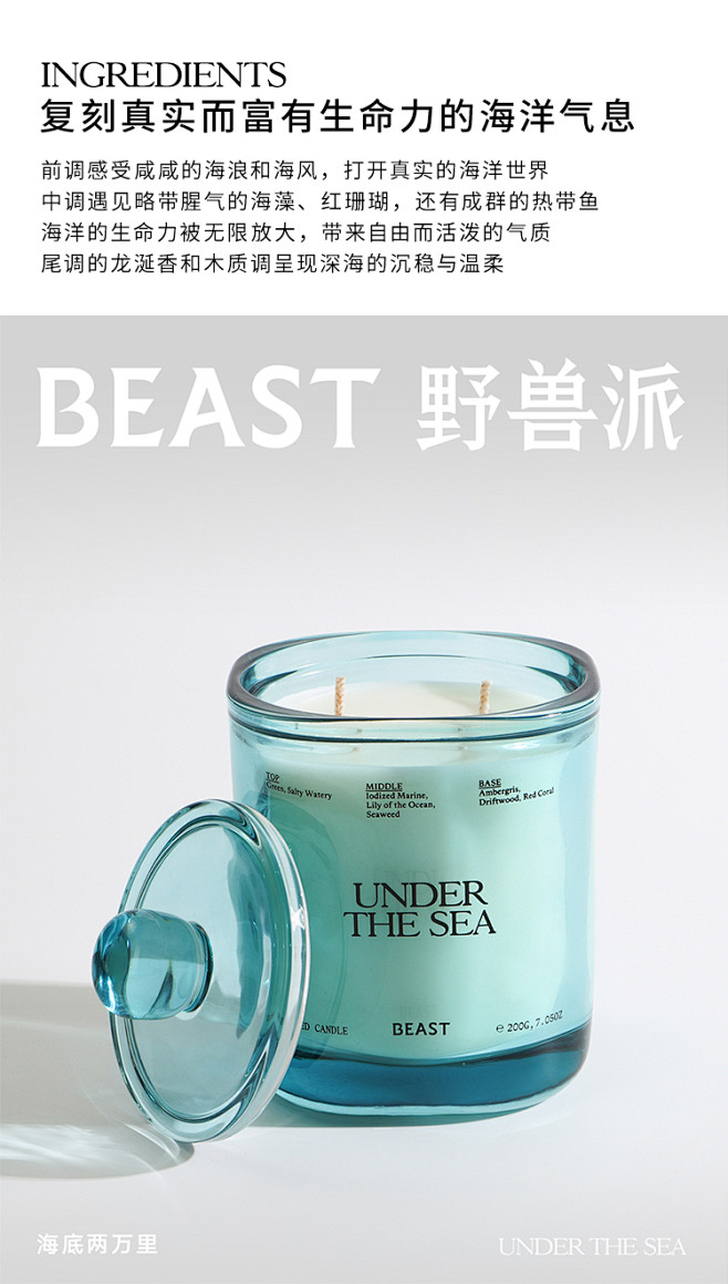 THEBEAST野兽派海底两万里家居扩香...