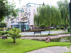 见不得你流泪采集到花园景观
