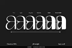 6款Chaviera时尚优雅经典女性品牌logo海报杂志标题英文字体家族
