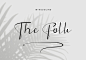 The Folk – Signature Script Font