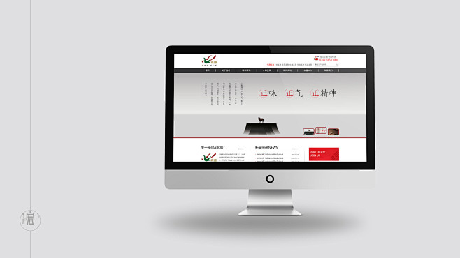 广雅普洱品牌设计——网站形象