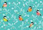 Bird pattern