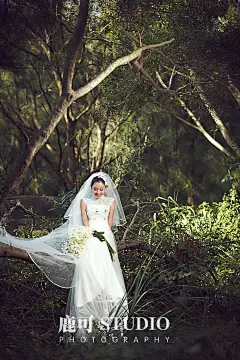 厦门鹿可摄影 #厦门摄影工作室# #高端婚纱摄影#  #厦门旅拍# #人像# #摄影师# #壁纸# #创意#