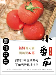 西红柿海报设计素材
