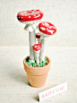 红蘑菇.jpg