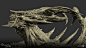 zbrush 3/4 close up