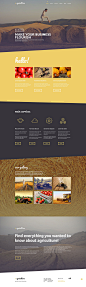 Crop Farming WordPress Theme : Optimize your web portal for mobile browsing by means of this responsive agriculture WordPress theme