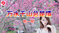 广告素材搜索 - App Growing - 有米云