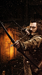 The Hobbit 2013 The Desolation of Smaug Thorin iPhone 5 Wallpaper